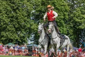 Attractions & Features Wild West Extravaganza 7 300x200 - Attractions & Features