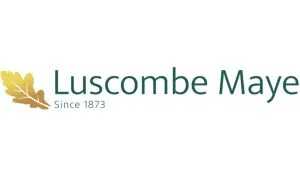 luscombe 1 300x169 - Home